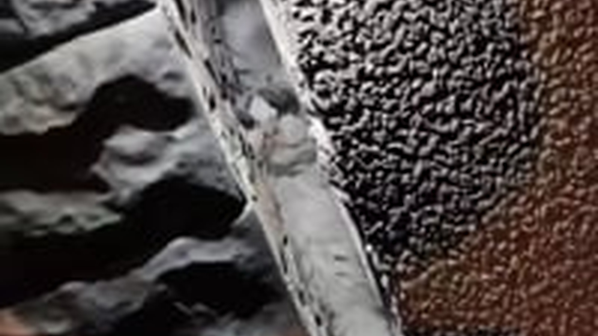 N0603082_A Helpless Little Kitten Crying Softly for Someone to Save It