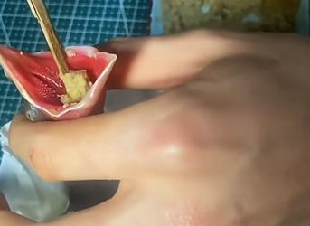 H1104001_Poor baby bird #crow #bird #babybird #birdsoftik