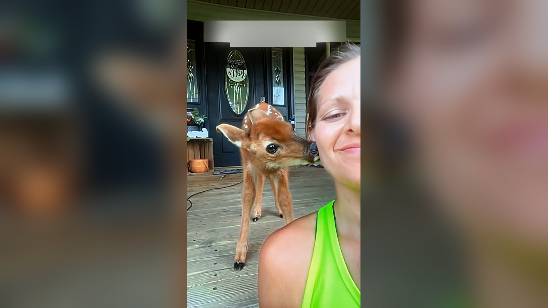 Đ0606003_During my morning jog,a little deer kept following me #animal #animal..._blurred_part2