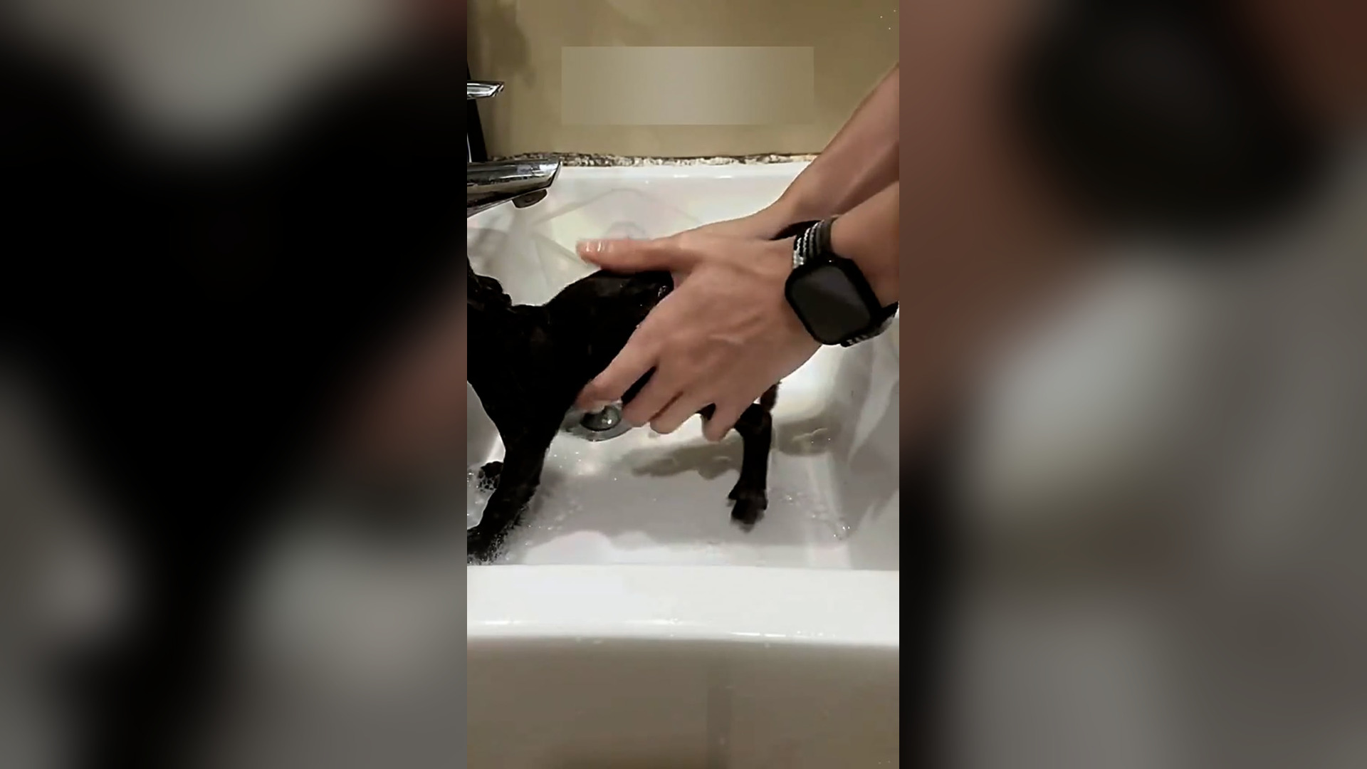 Đ0806002_I found a little black cat by the roadside #animal #animals #rescue #..._blurred_part2