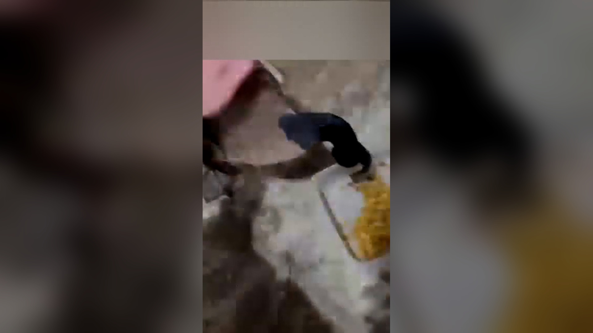 Đ0806003_Man saves a drowning goose and the ending ️❤_blurred_part2