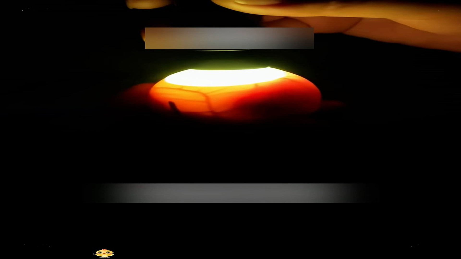 Part 2: Đ1406001_I found an egg by the river,and I decided to hatch it and then...❤️#c..._blurred_part2