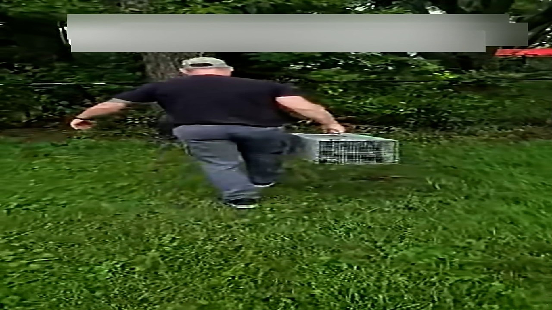 Part 2: Đ1306001_My girlfriend and I found a raccoon suffering from heatstroke on the ..._blurred_part2