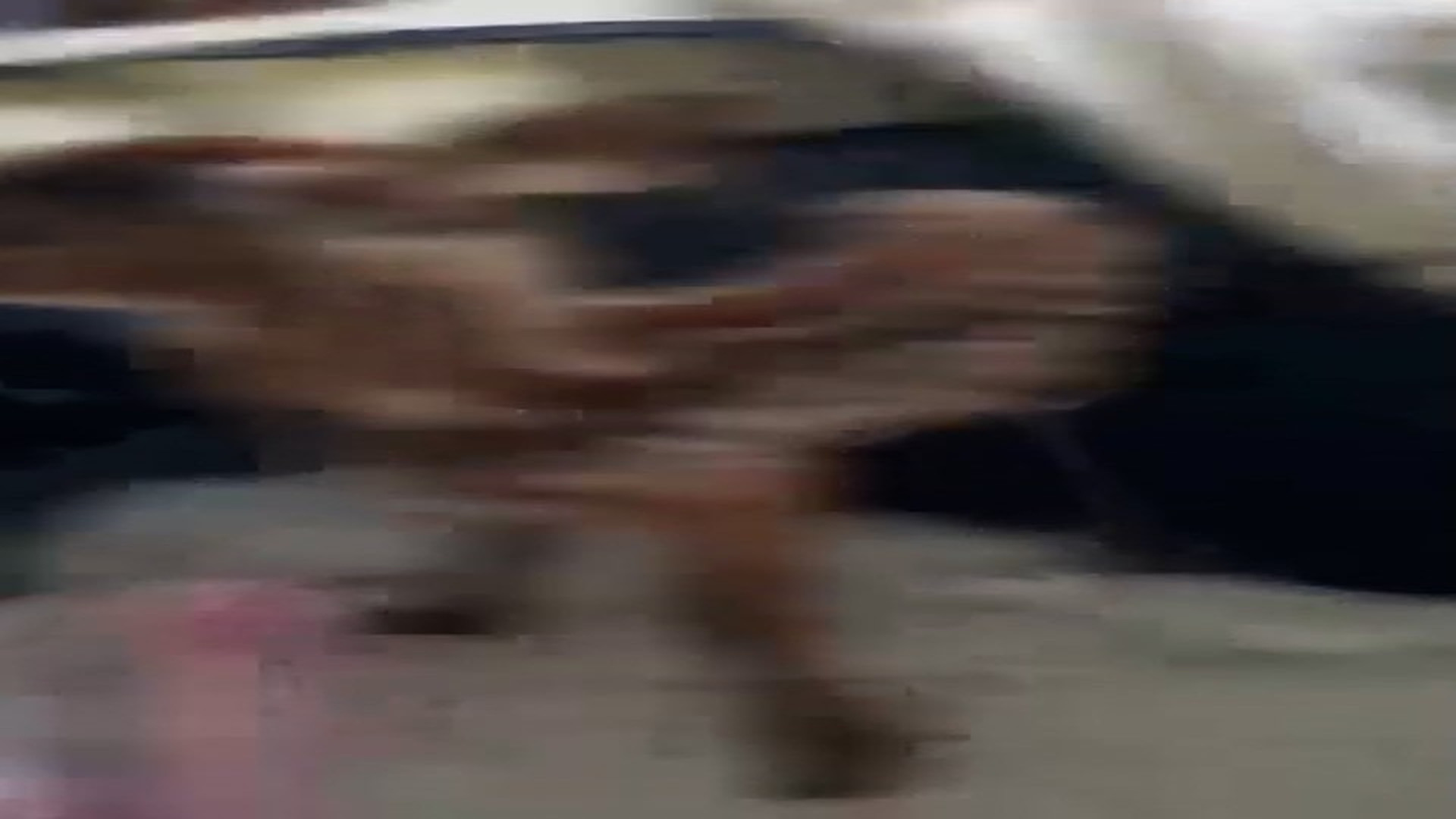Part 2: Đ0606002_"Seagull Trapped in Plastic Rescued and Returned to Ocean" #SeagullRescue #OceanLife #AnimalWelfare_blurred_part2