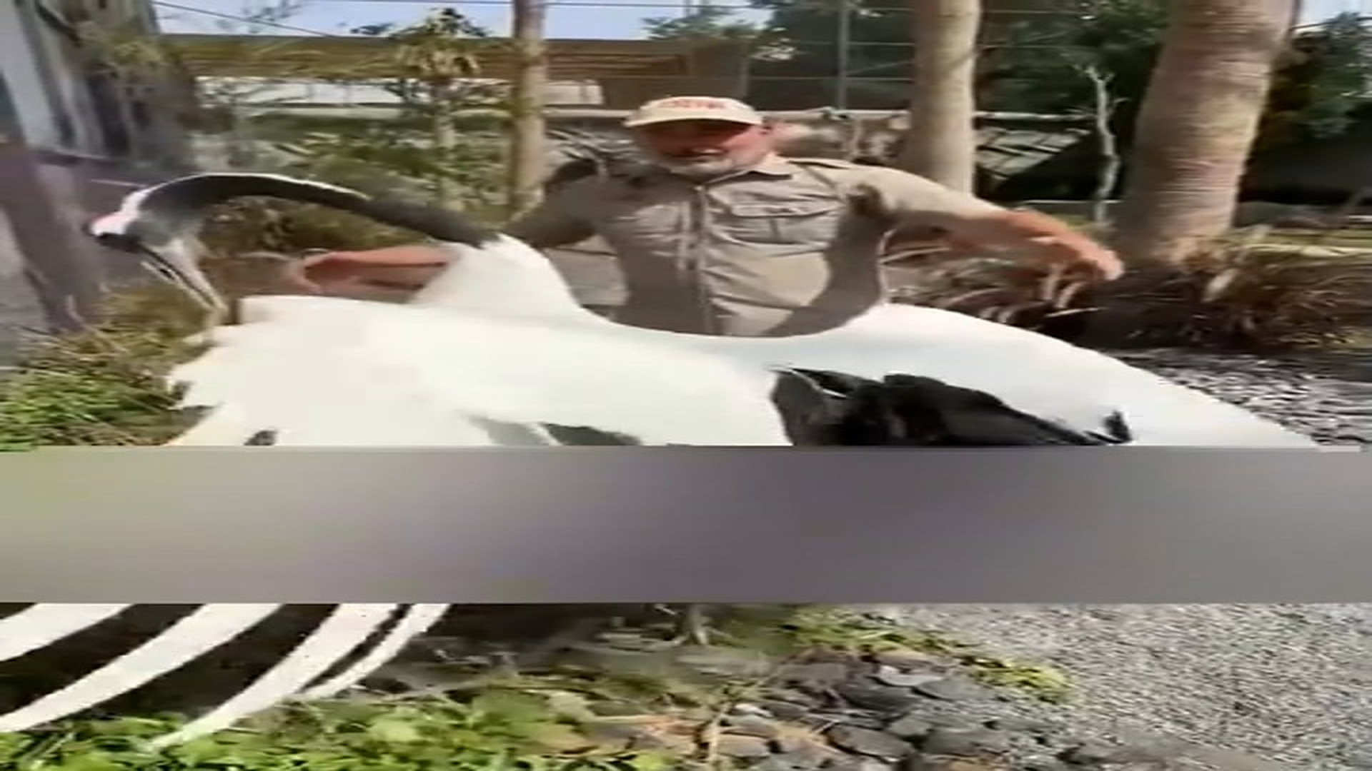 Part 2: Đ0706001_Man bids farewell to animals he's dedicated his life to #Amazing #animals #love #fyp #pet_blurred_part2