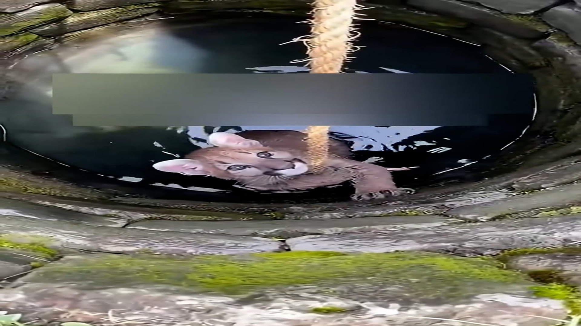 Part 2: Đ1906002_TikTok video #7578833813627800845_blurred_part2