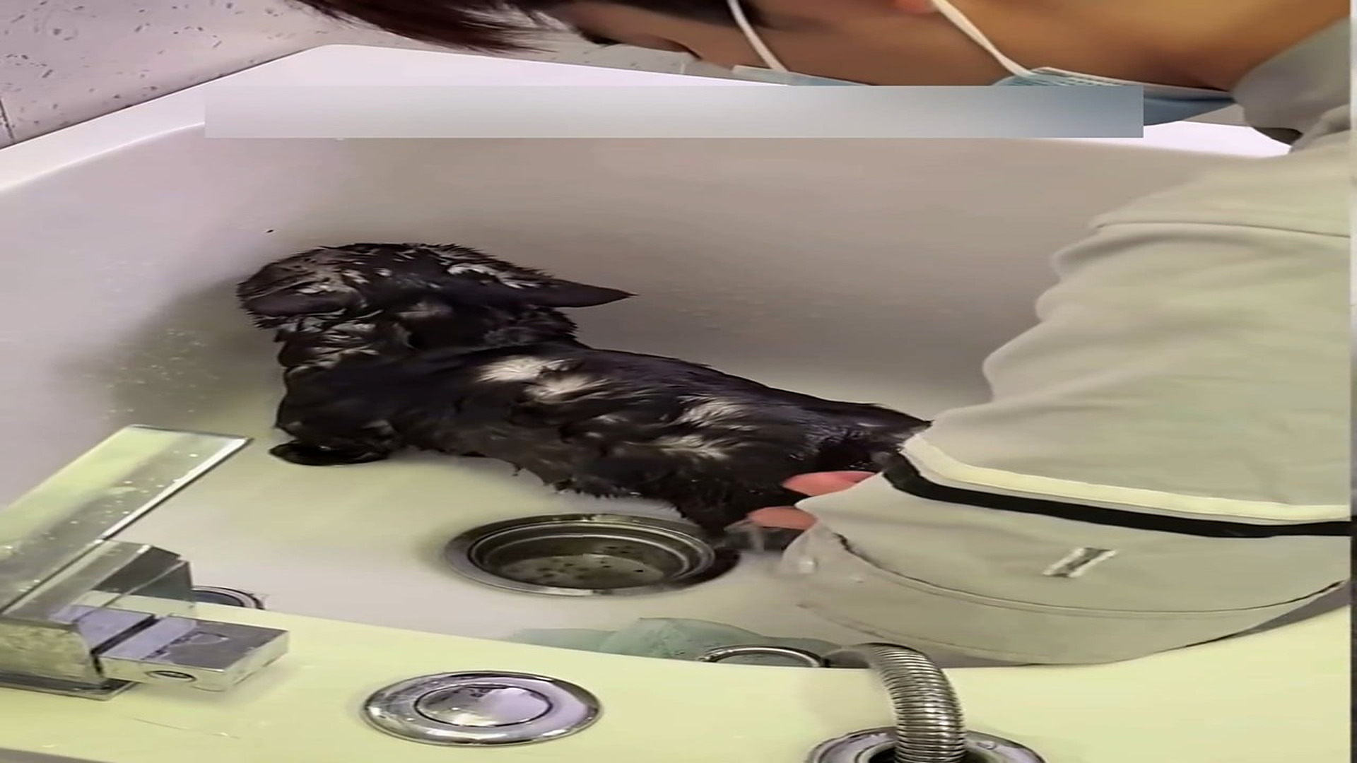 Part 2: Đ2806001_Rescue a kitty lying at the sewer opening waiting to die and then #re..._blurred_part2