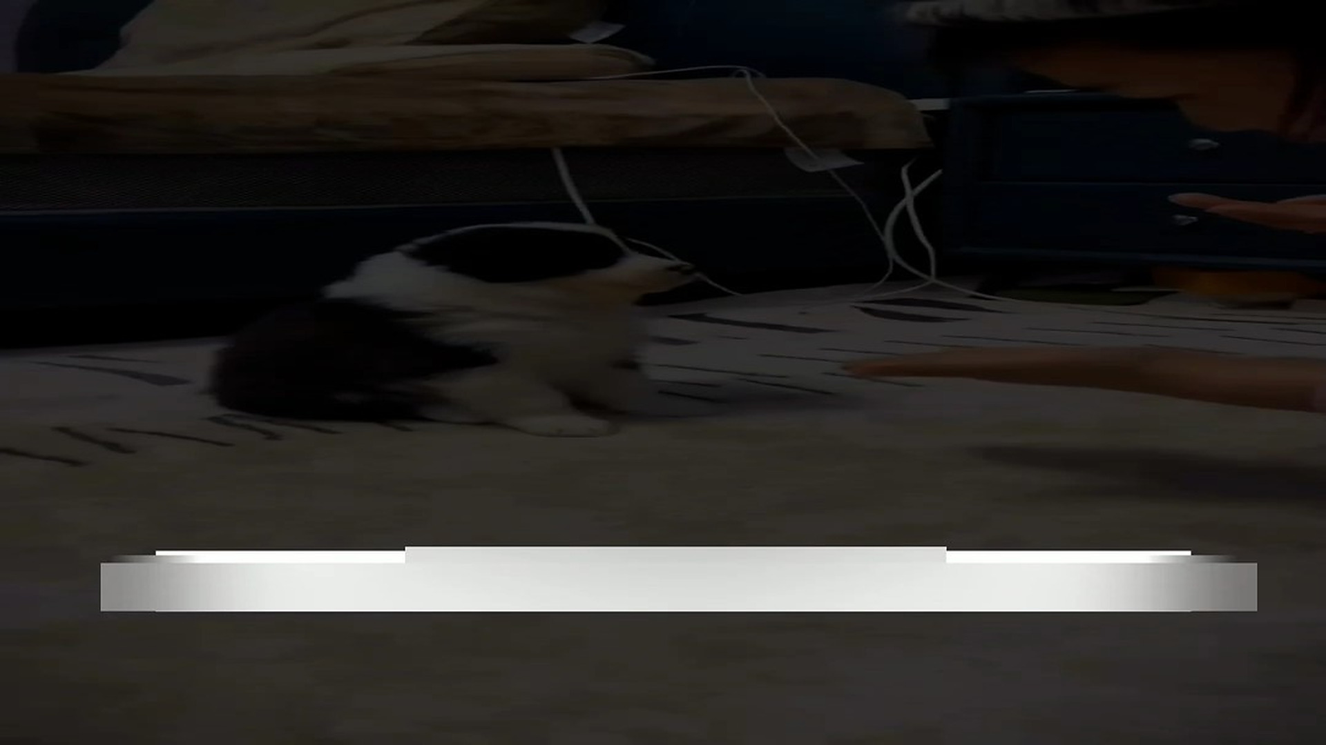 Part 2: Đ0307002_This is a 70-day transformation of a puppy, and I’ve captured some of..._blurred_part2