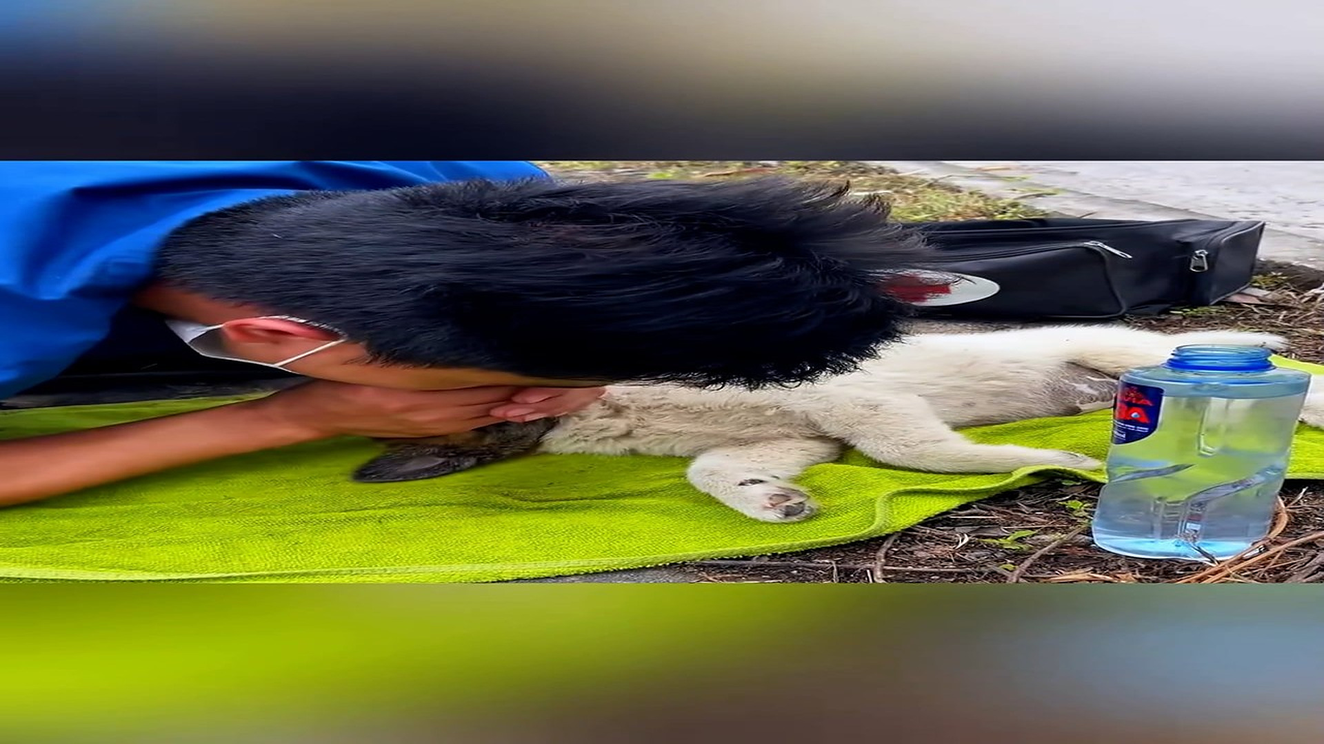 Part 2: Đ0307002_Rescue a puppy on the road #animal #animalsoftiktok #rescueanimals #r..._blurred_part2