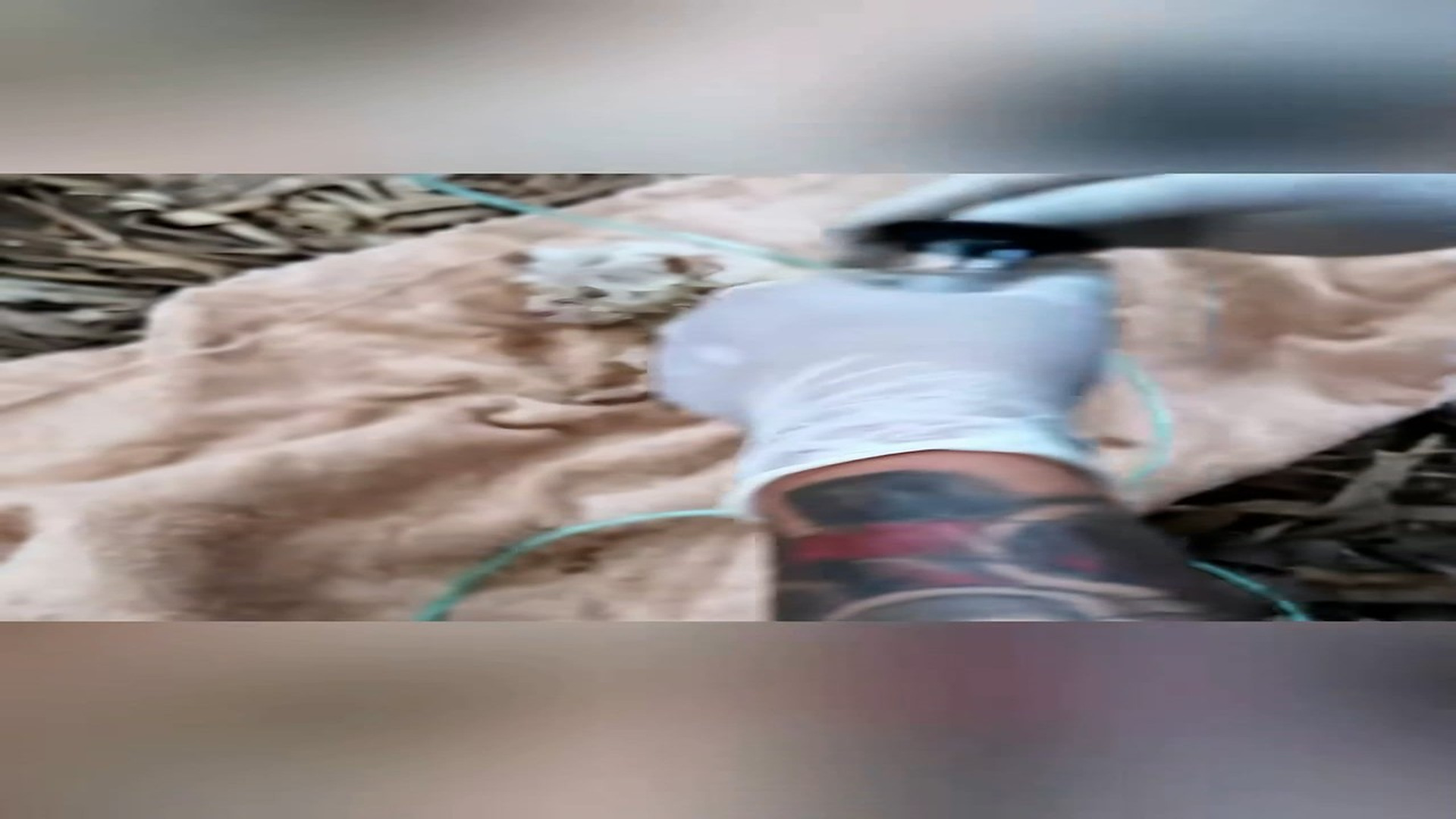Part 2: Đ0207001_Rescue a puppy #animal #animalsoftiktok #rescueanimals #rescue #puppy..._blurred_part2
