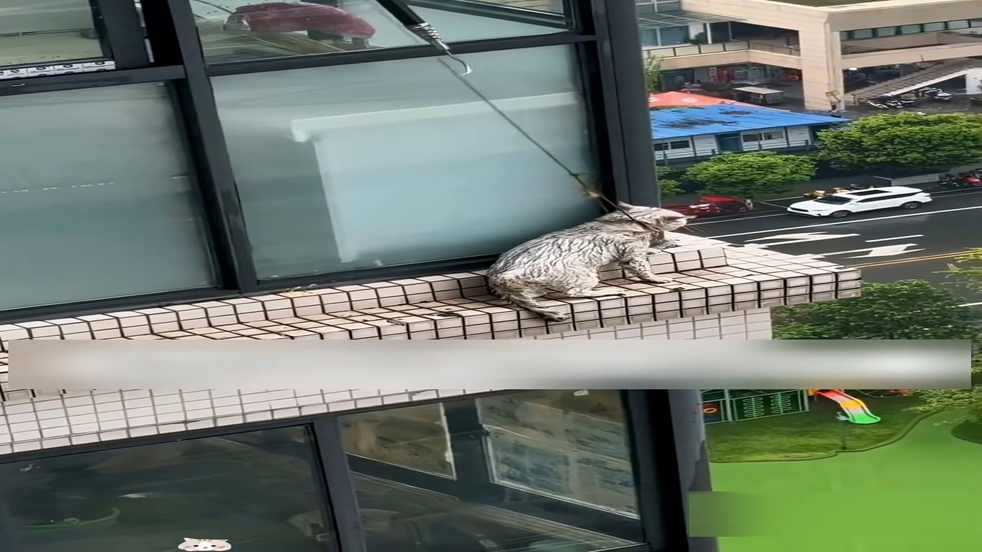 Part 2: Đ0707003_The cat was trapped on a 100-meter-high building during arainstorm, a..._blurred_part2