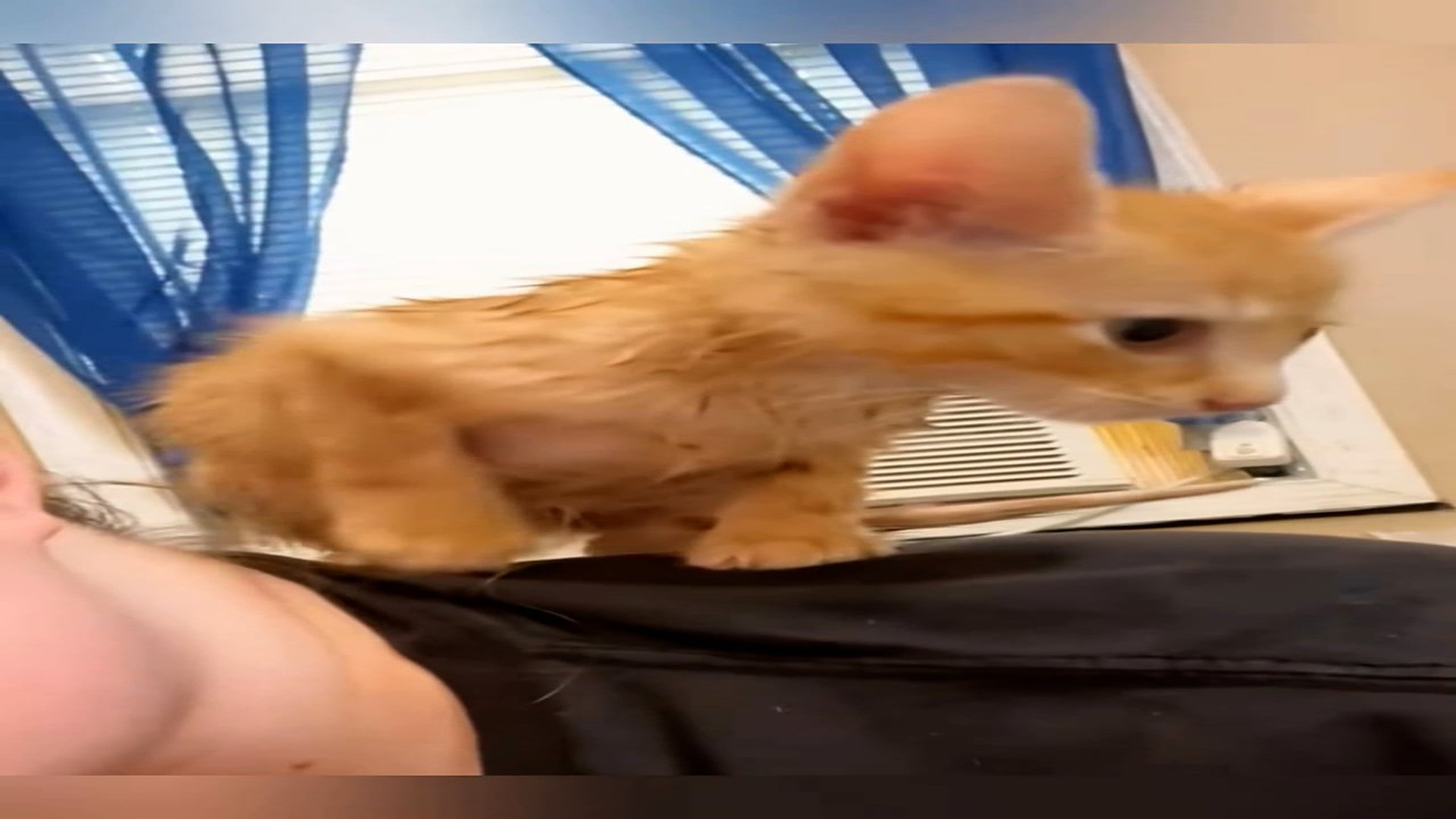 Part 2: Đ0807001_I heard a cry for help coming from a stream and then ….. #rescue #res_blurred_part2