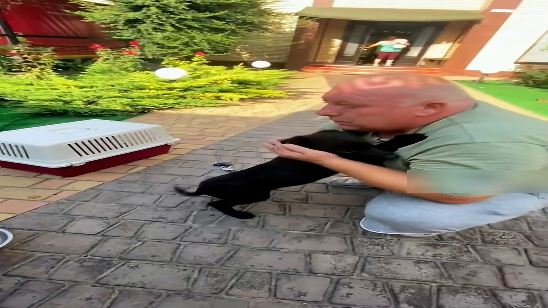 Part 2: Đ0807001_Rescued dog change after 6 months #rescue #animal #animalsoftiktok #r..._blurred_part2