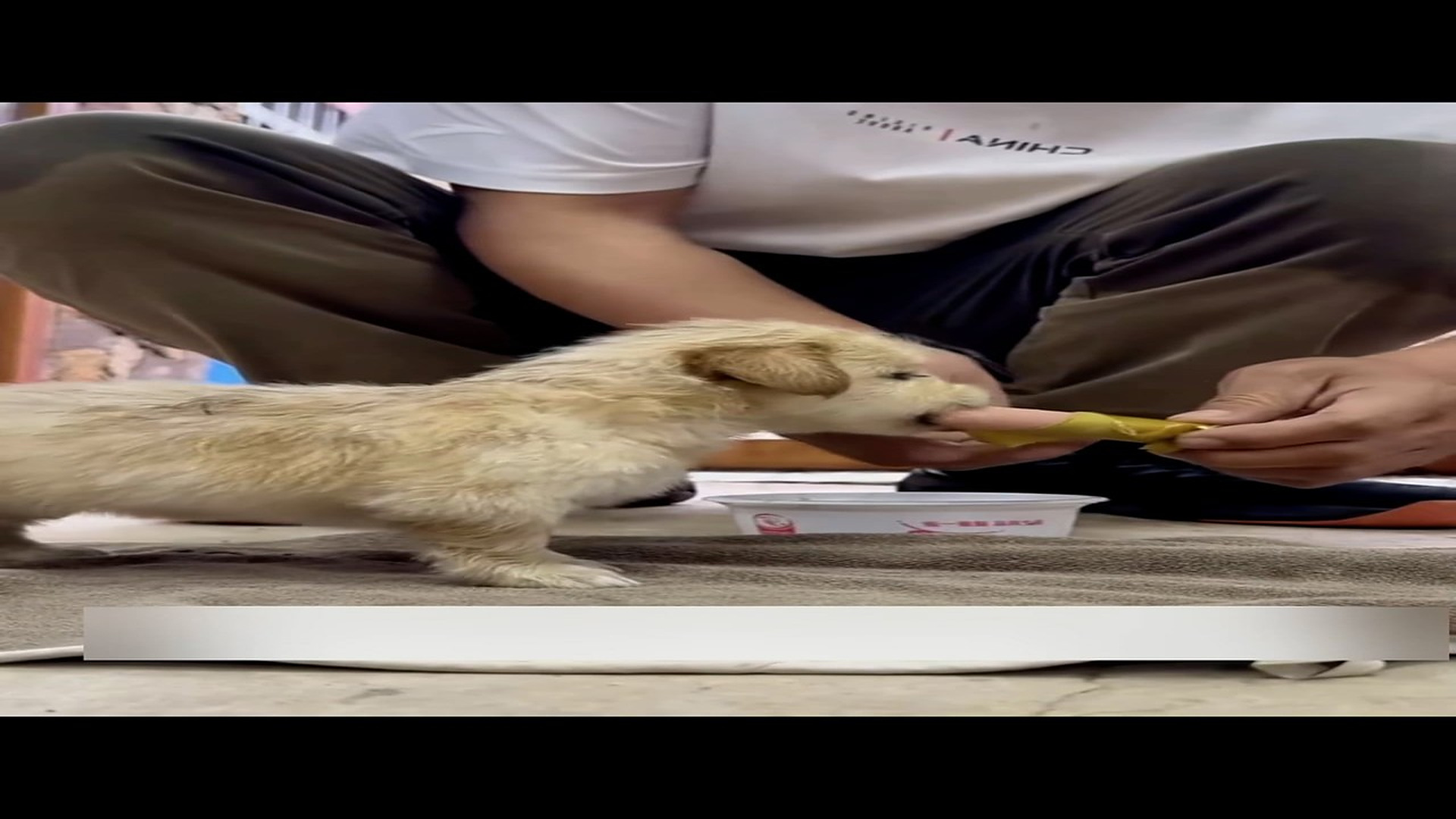 part 2: Đ0907003_While battling the storm,I heard its frantic cry for help.#rescue #re..._blurred_part2