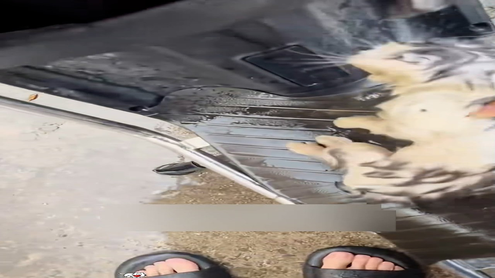 part 2: Đ0907001_Rescue a poor cat and then #animals #fyp #rescue #cat #love #kitten _blurred_part2