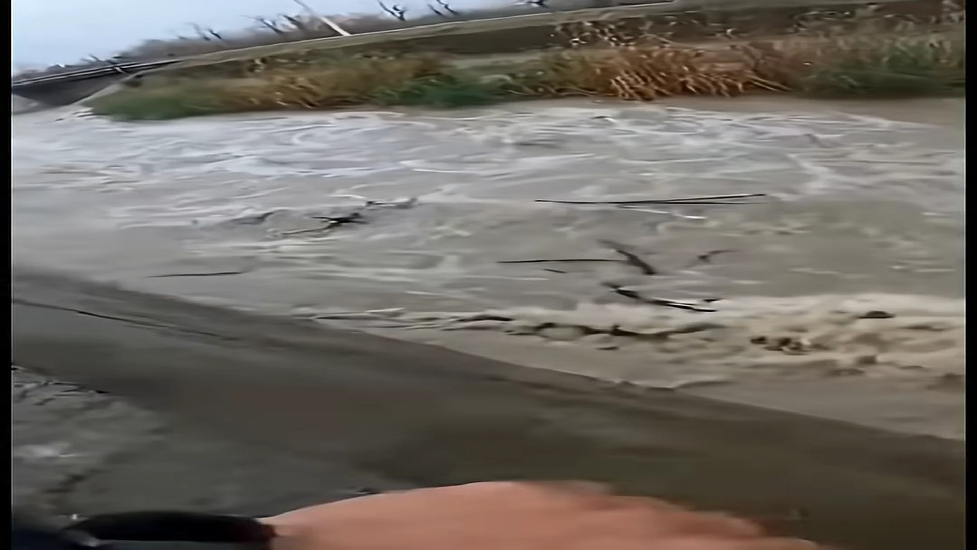 Part 2: Đ1307002 She Was Drowning but Refused to Let Go of Her Puppy... Amazing Rescue! �❤️