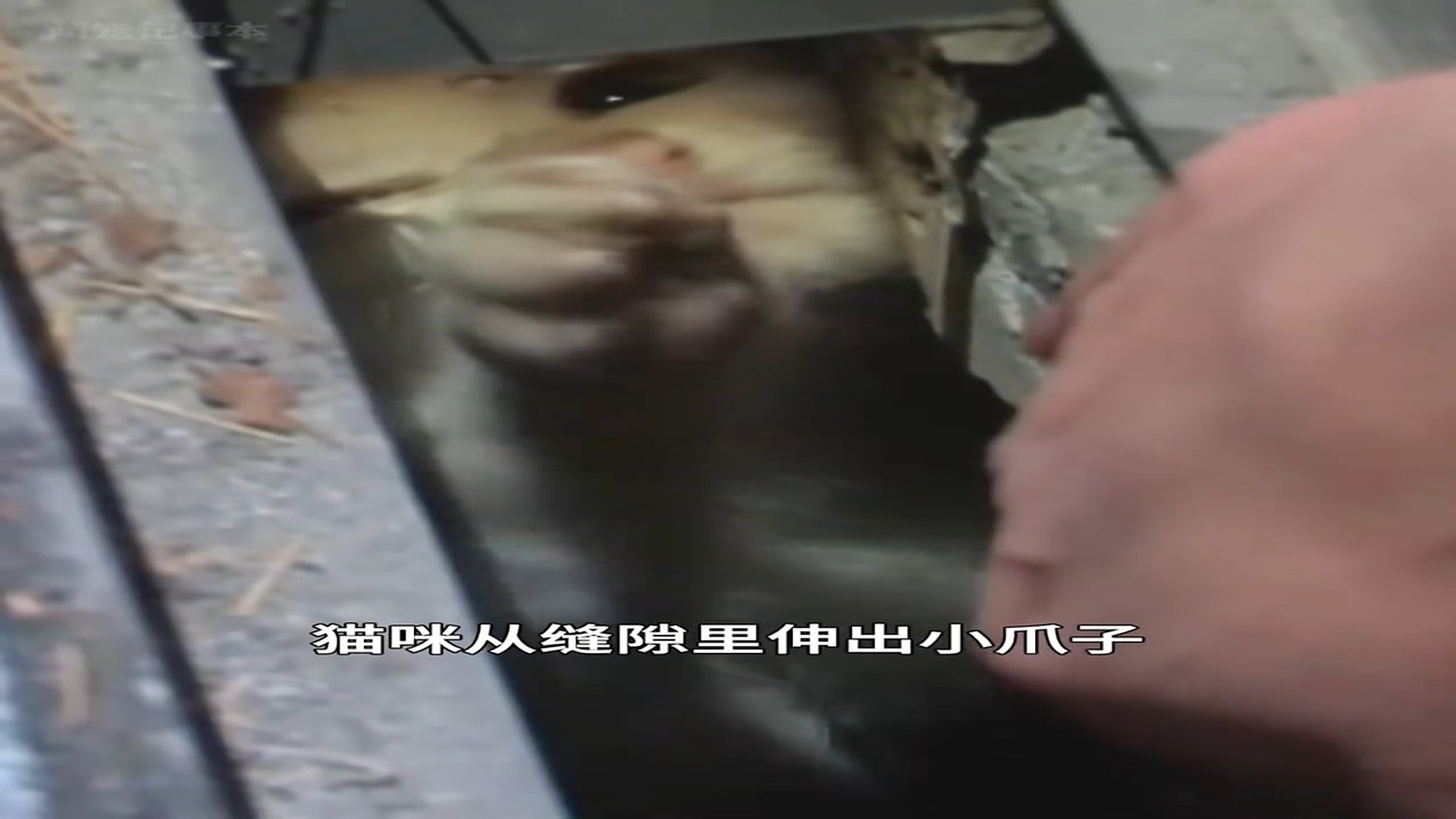 Part 2: Đ1507001_发现更多精彩视频 - 抖音搜索_24