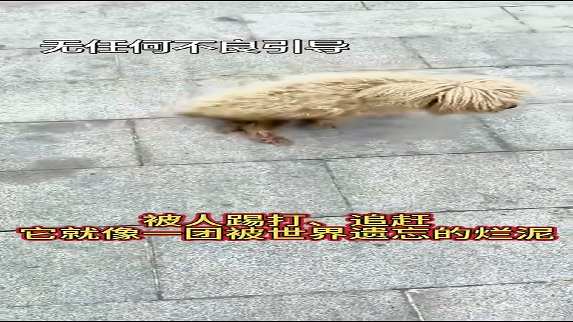 Part 2: Đ1507002_发现更多精彩视频 - 抖音搜索_44