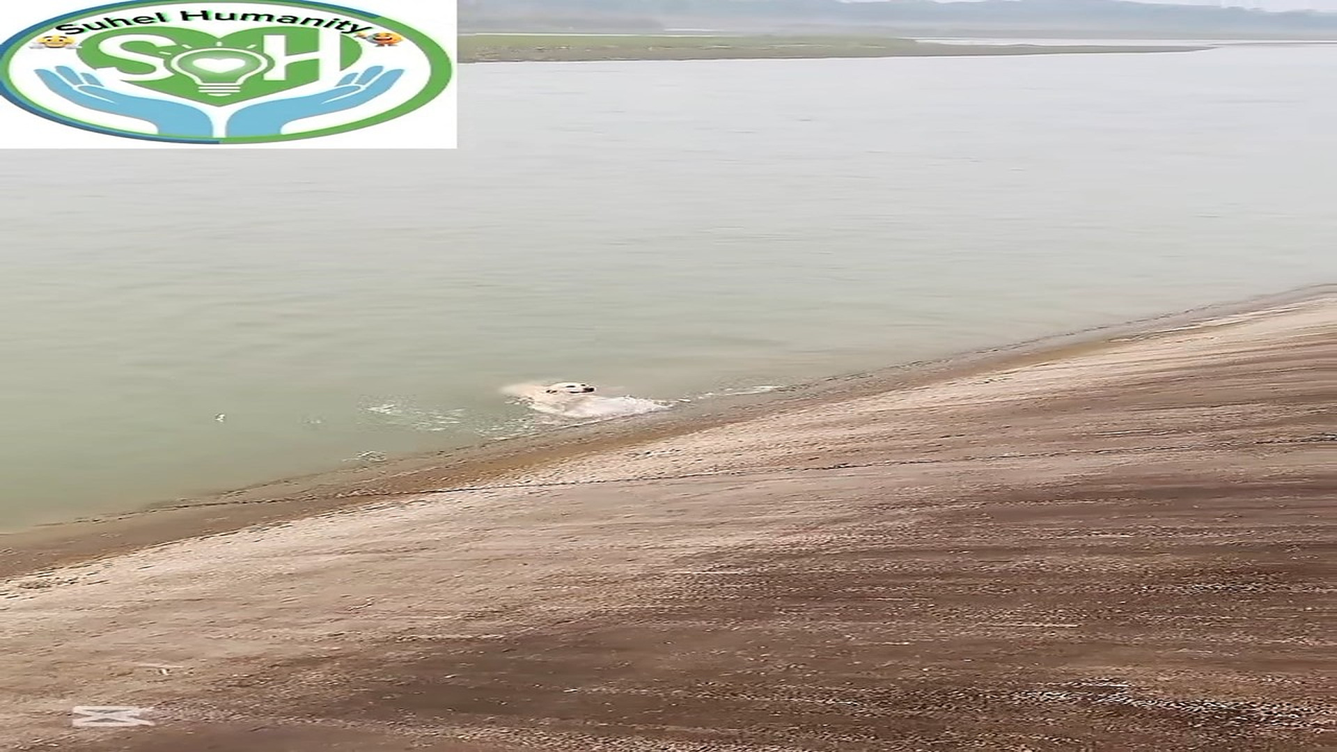 Part 2: Đ1807001_6. 4 comments জ বনব জ র খ স ই ম হ র ত! #humanity #animals #dogrescue #vairal #fbreel Suhel Huma