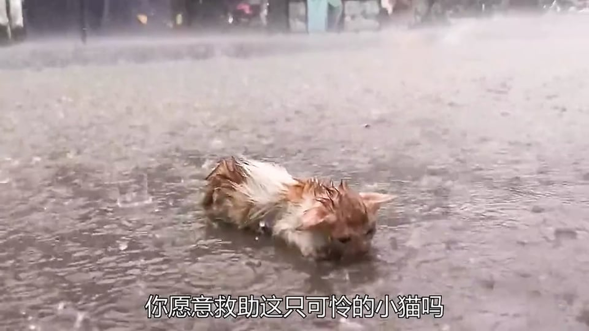 Part 2: Đ1507002_发现更多精彩视频 - 抖音搜索_25