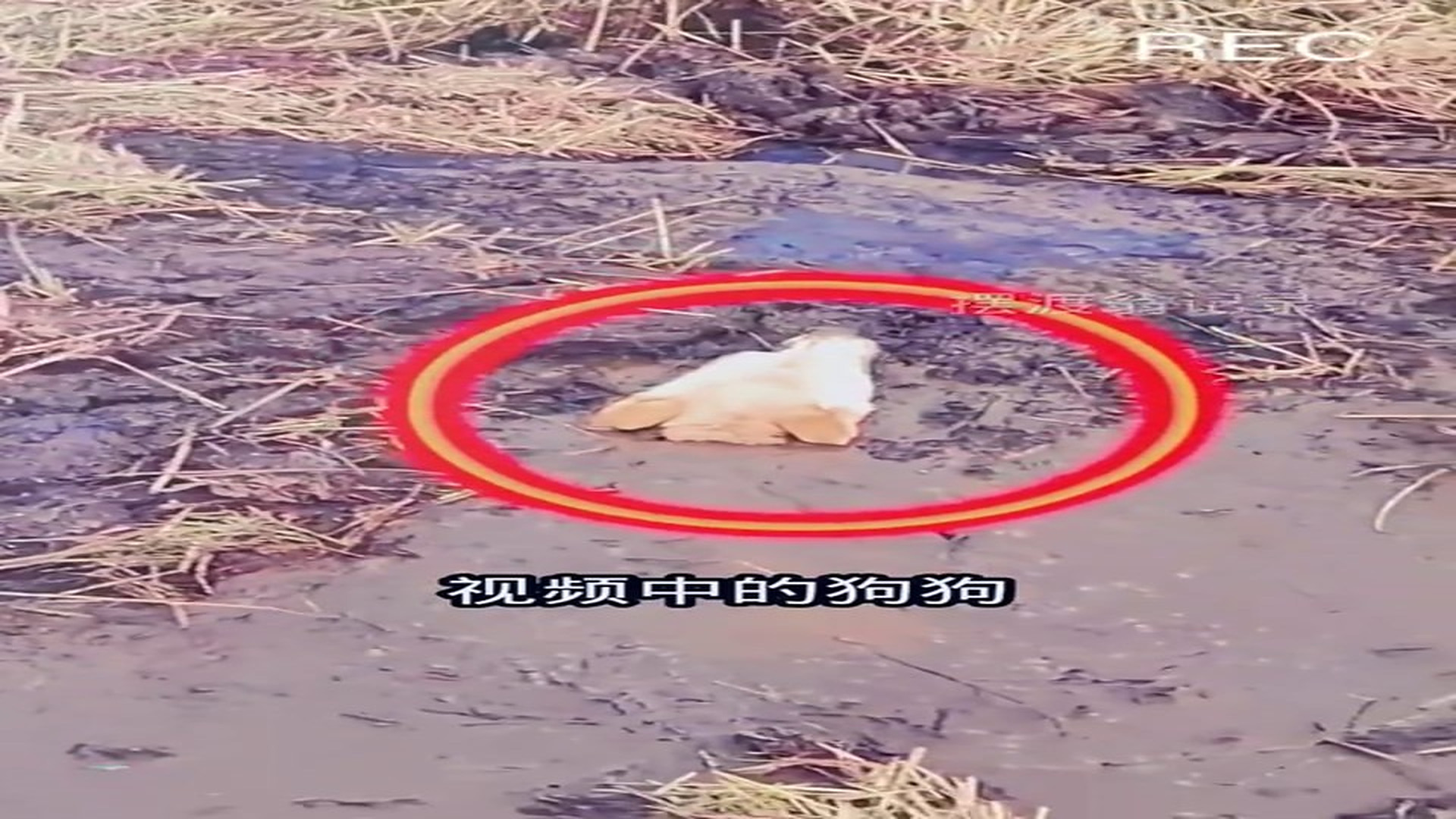 Part 2: Đ1507003_发现更多精彩视频 - 抖音搜索_35