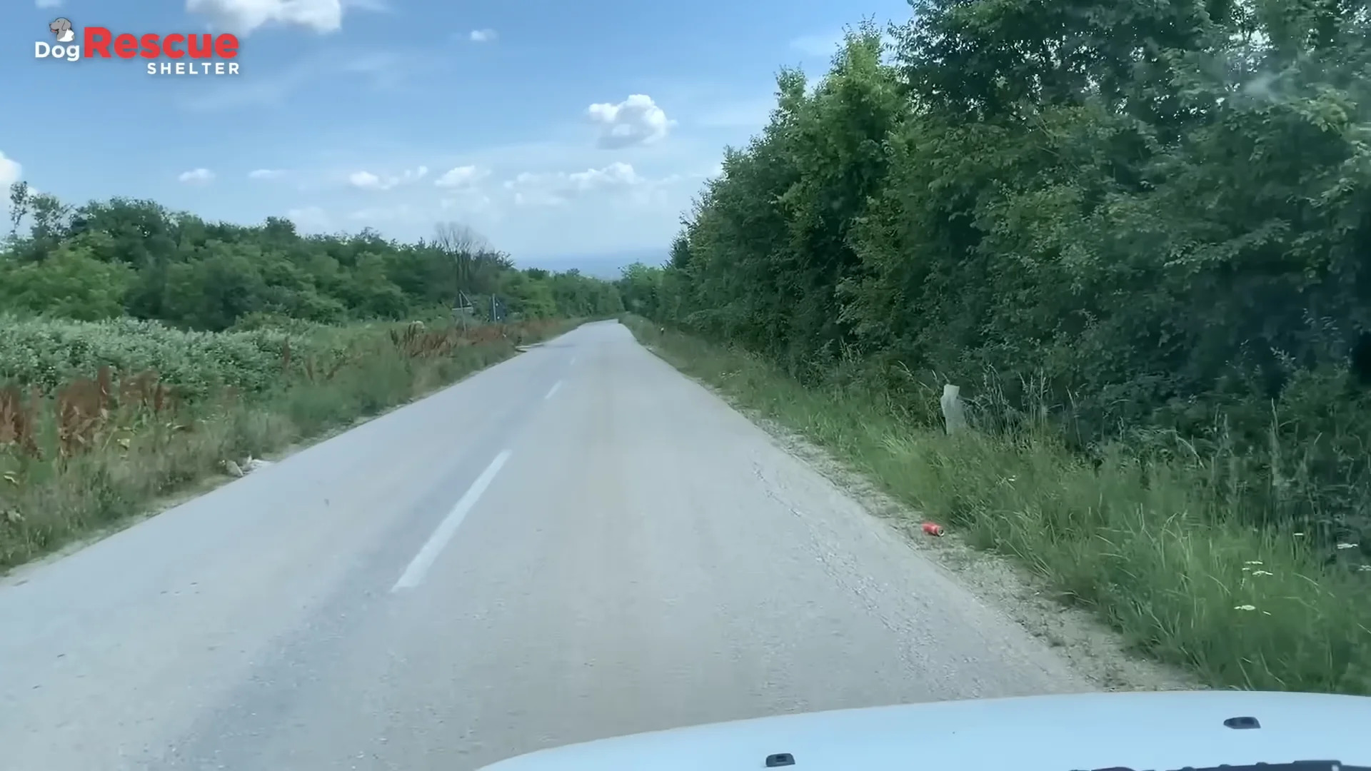 Part 2: Đ1707002 Abandoned and scared, she cried when I approached to help her.
