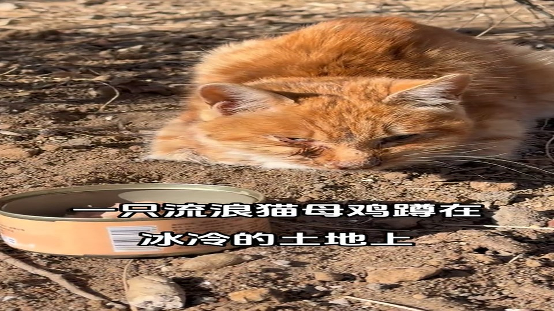 Part 2: Đ2107002_2
